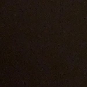 Meet your Posher, Dalia